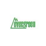 Evergreen