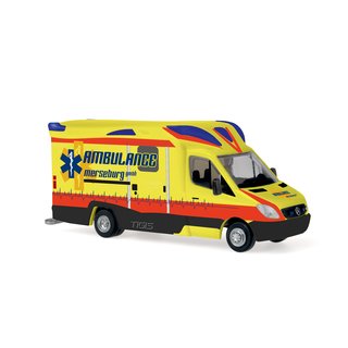 Rietze 68625 Ambulanz Mobile Tigis Ergo Ambulance Merseburg  Mastab 1:87