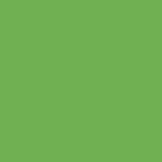 VALLEJO 773205 Wash-Color, Green Wash, 17 ml