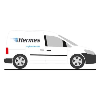 Rietze 31821 VW Caddy11 Hermes Mastab: 1:87