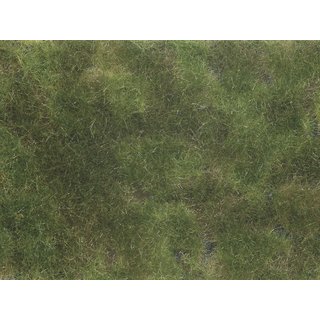 Noch 07251 Bodendecker-Foliage olivgrn, 12 x18cm  Spur G, H0, TT, N, Z