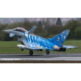 Revell 03818 Eurofighter Typhoon, The Bavarian Tiger 2021  Mastab 1:72