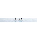 Busch 7923 A-Set: Pinguine auf Eisscholle Spur H0