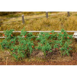 Faller 181259 18 Tomatenpflanzen Mastab: H0