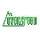 Evergreen 504150 Kunststoffplatte, 1x150x300 mm,...