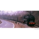 *Arnold HN2185 Tenderlokomotive BR 95, DR Ep.III...
